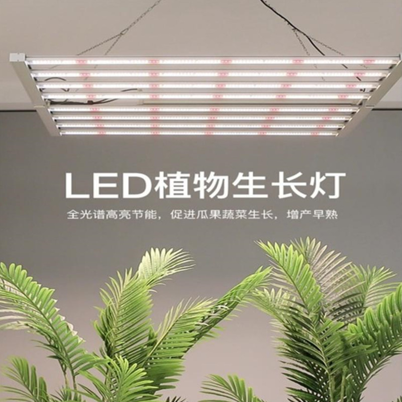 深圳八爪鱼植物灯工厂供应480W全光谱植物灯 480W打花期用八爪鱼植物灯