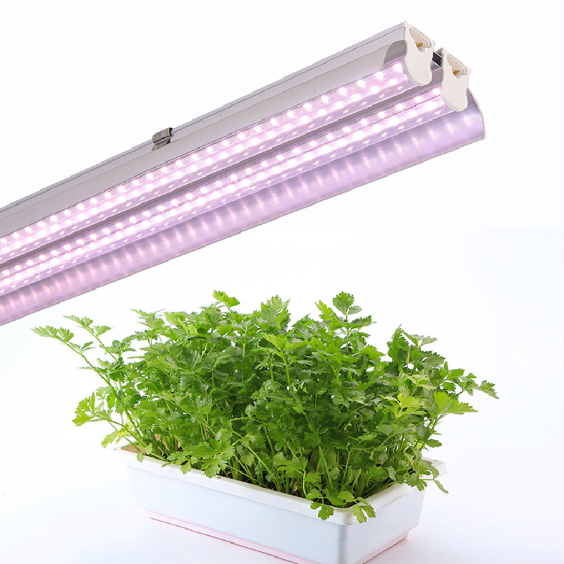 T8植物灯管 led植物生长灯 led全光谱生长灯 西红柿生长灯管 温室植物生长灯管
