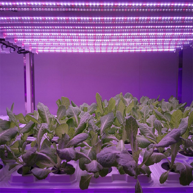 全光谱植物补光灯补光效果怎么样？全光谱植物灯有没有用呢？