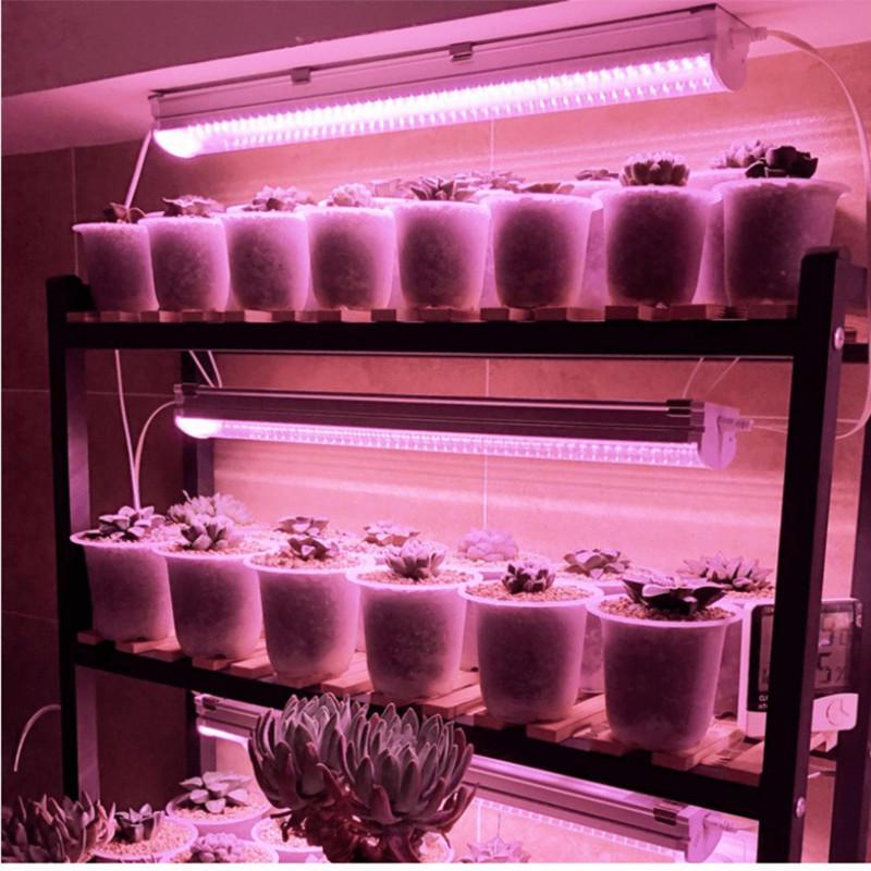 大棚植物补光灯管 多肉植物补光灯管 1.2米36W植物补光灯管 T8植物补光灯管