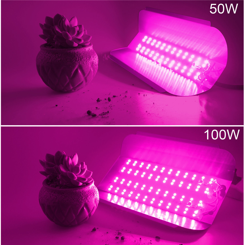LED植物补光灯厂家直销100W大棚植物补光灯 户外防水全光谱植物补光灯