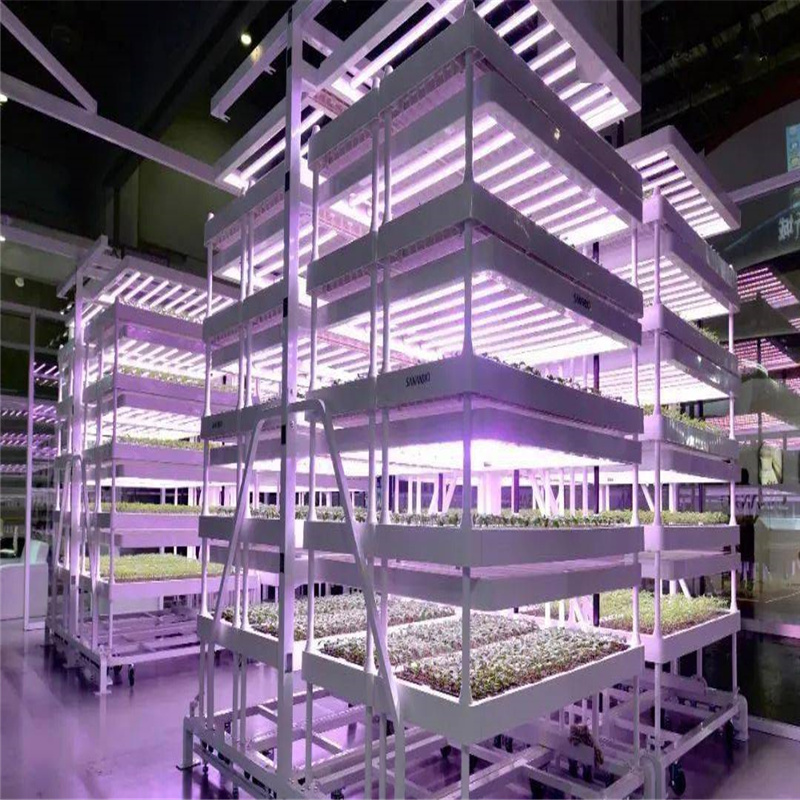 0.6米9W植物生长灯管 温室组培灯管 水培植物灯 叶菜类植物灯管