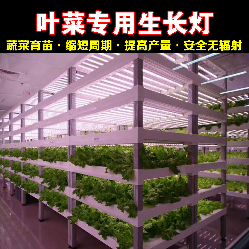 植物工厂蔬菜补光灯 温室水培叶菜生长专用灯 t8植物灯管 红蓝比例补光灯管