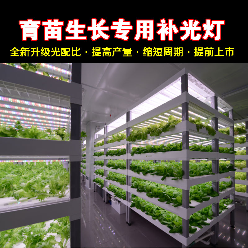 植物工厂蔬菜补光灯 温室叶菜补光专用灯 t8植物补光灯管 红蓝比例蔬菜补光灯